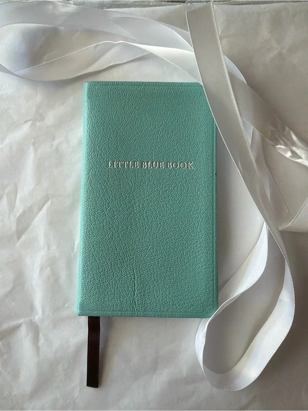 🌷TIFFANY & CO. LITTLE BLUE BOOK 🌷 NWOT 🌷